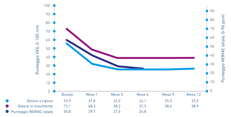 HYMOVIS 3 ante Priano_GRAFICO