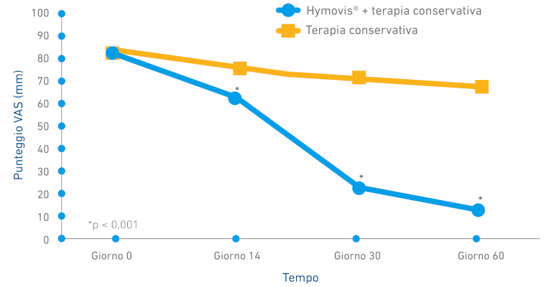 HYMOVIS Tre ante Zorzi_GRAFICO